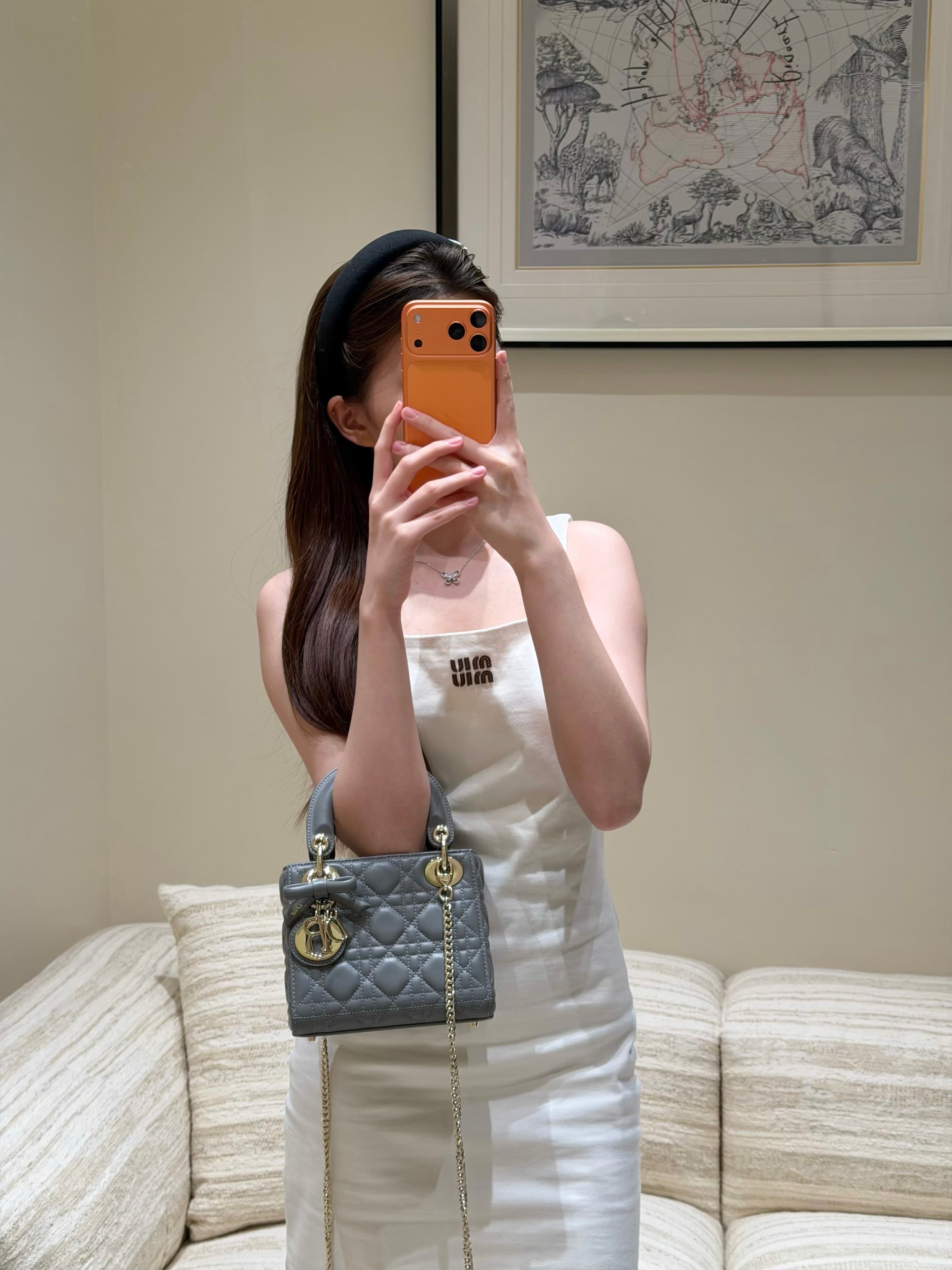 디올 레이디 다이애나 보우 시리즈 그레이