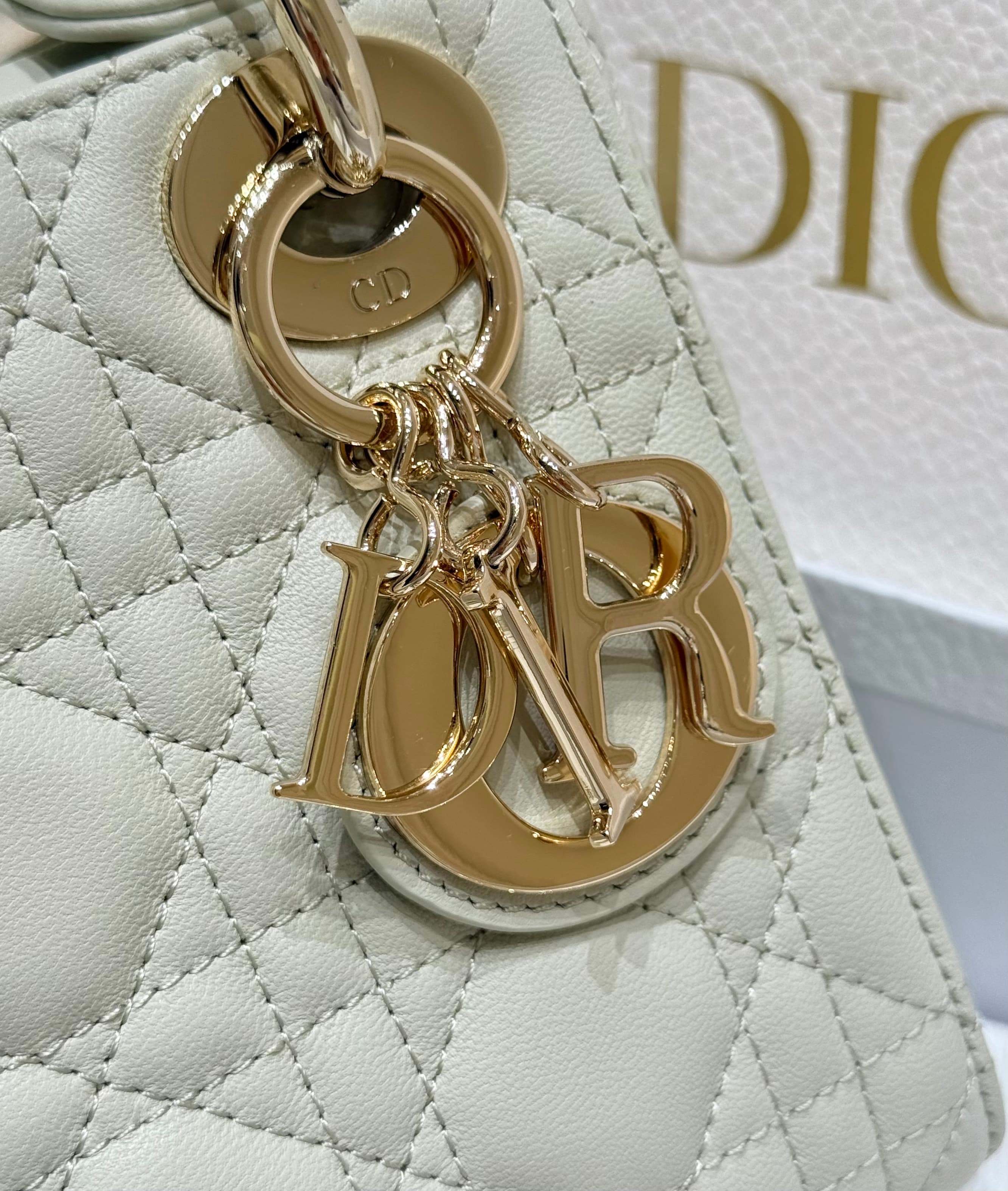 디올 레이디 디 휠 3부작 화이트