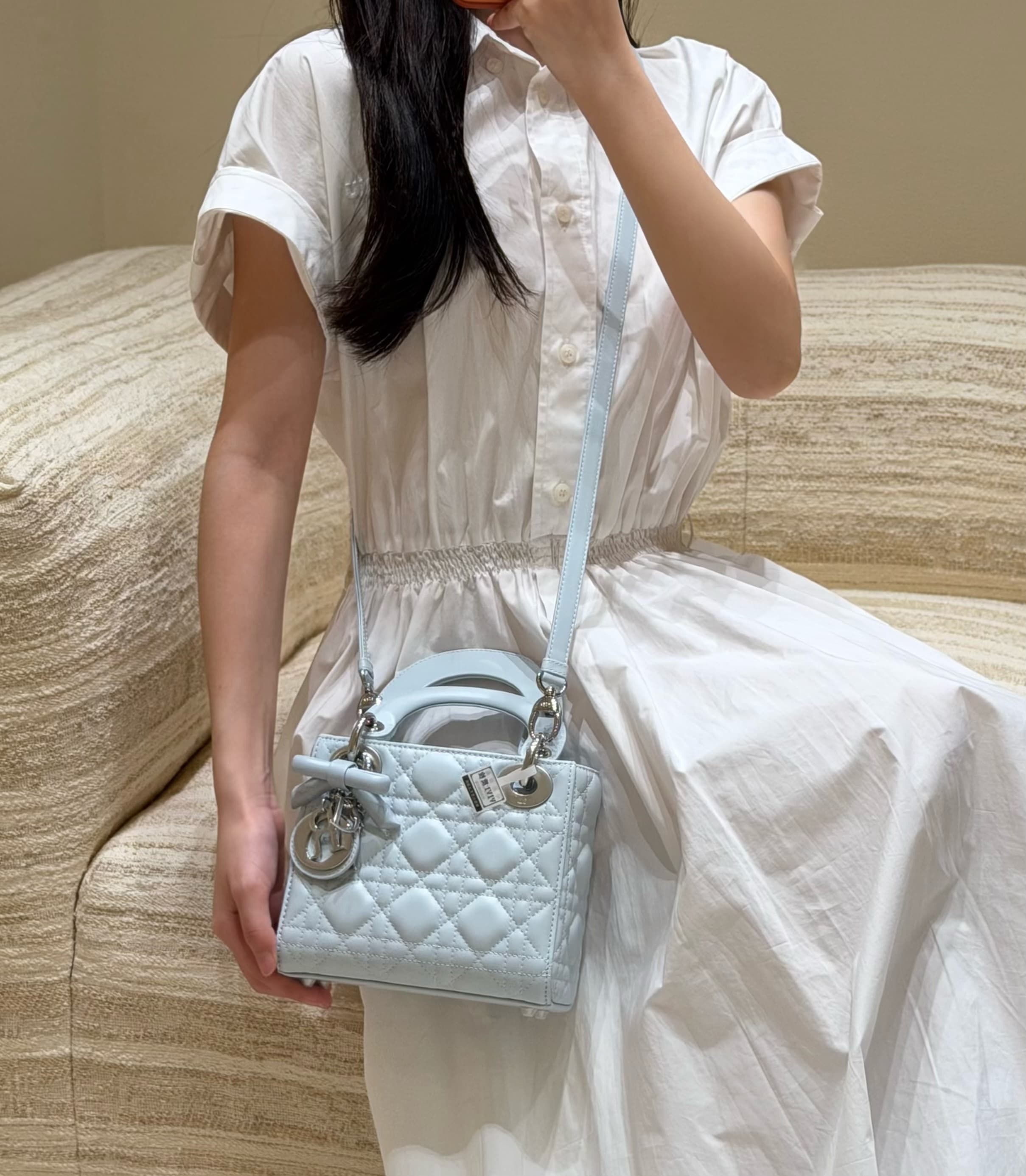 디올 레이디 다이애나 보우 시리즈 그레이
