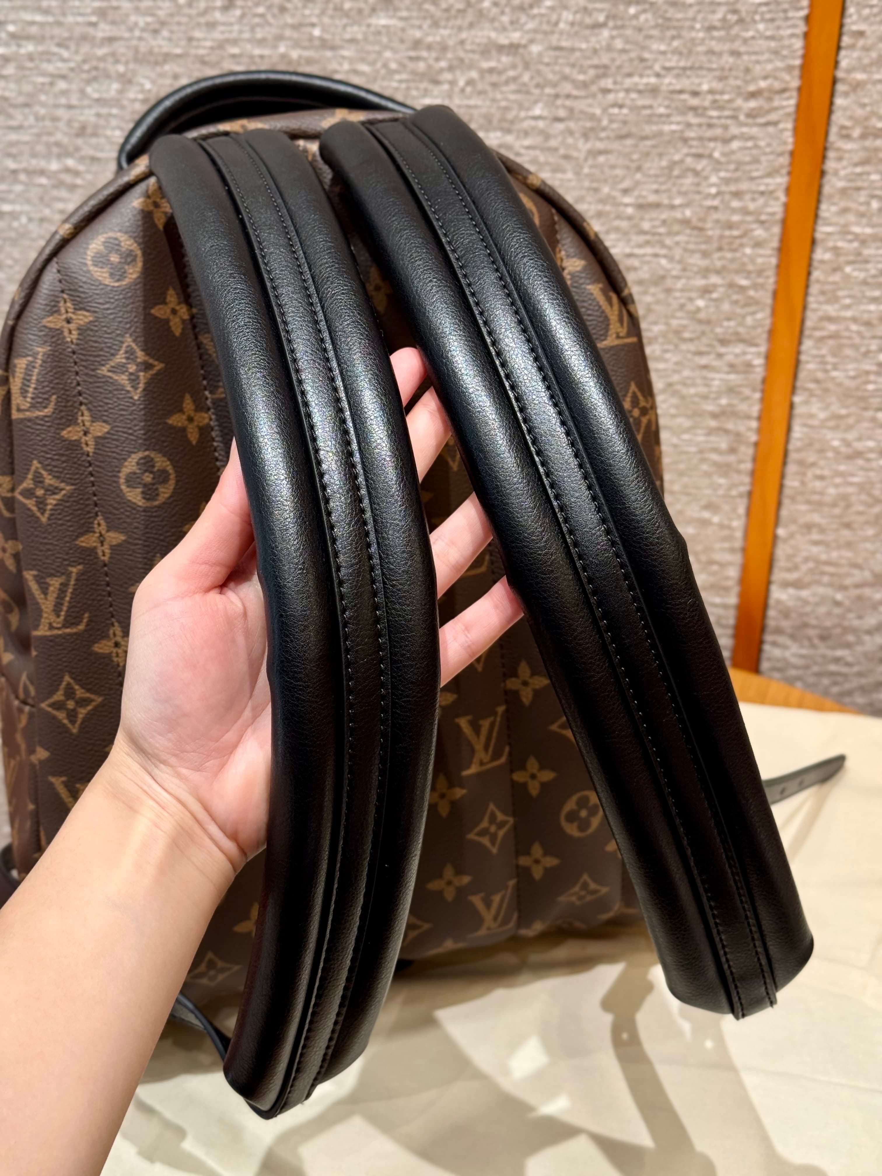 루이비통 팜 스프링스 백팩 MM (브라운)